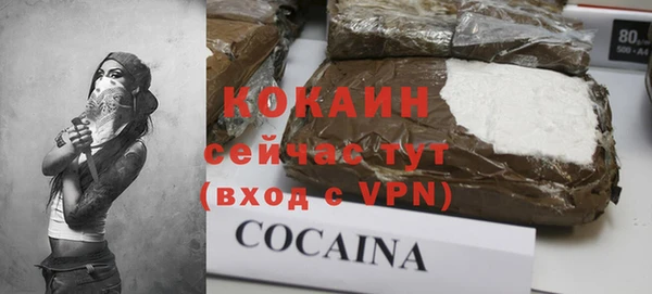 молекула духа Горняк