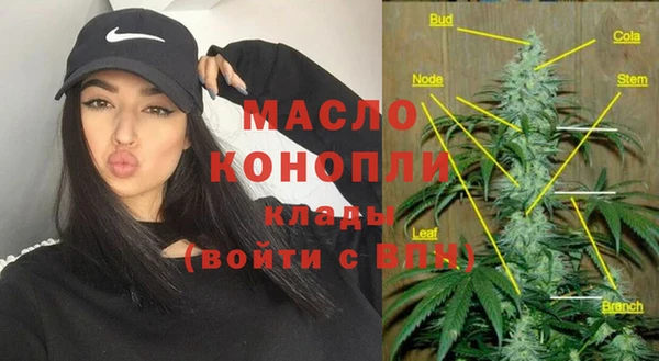 молекула духа Горняк