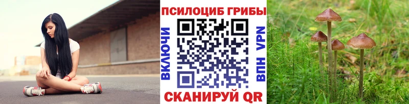 KRAKEN вход  Дальнереченск  Псилоцибиновые грибы Psilocybine cubensis  маркетплейс наркотические препараты  где найти наркотики 